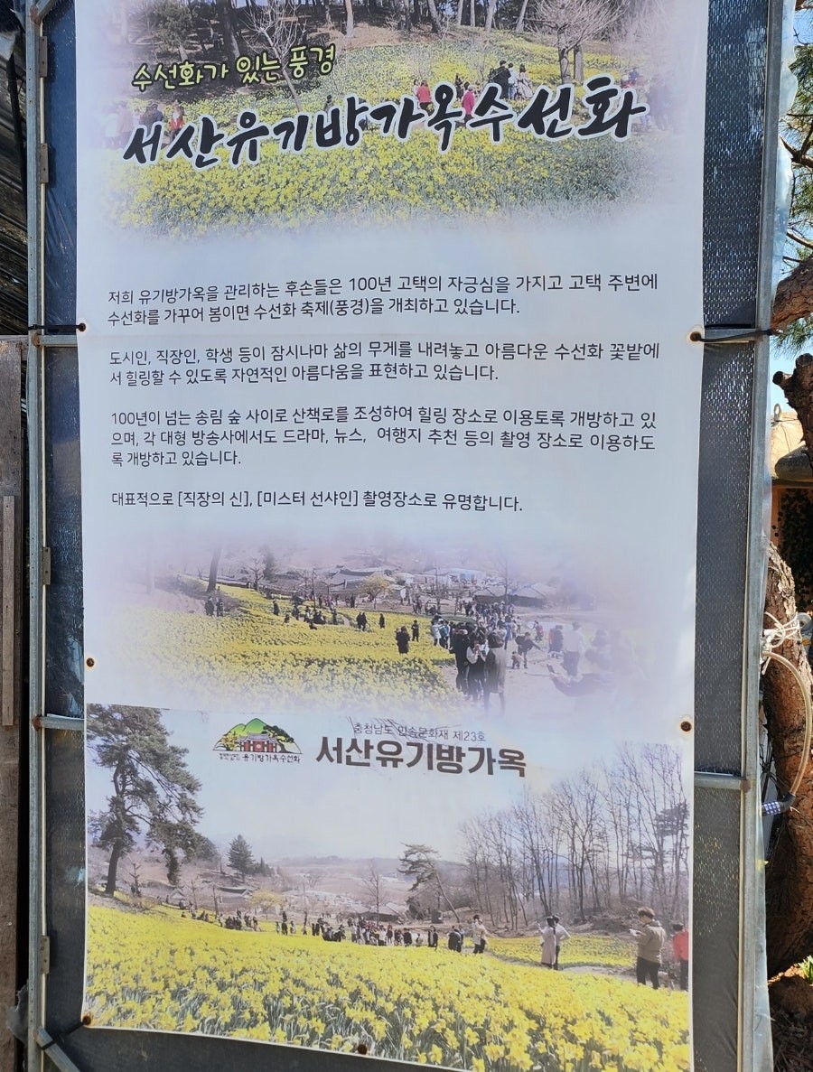 Post image 17