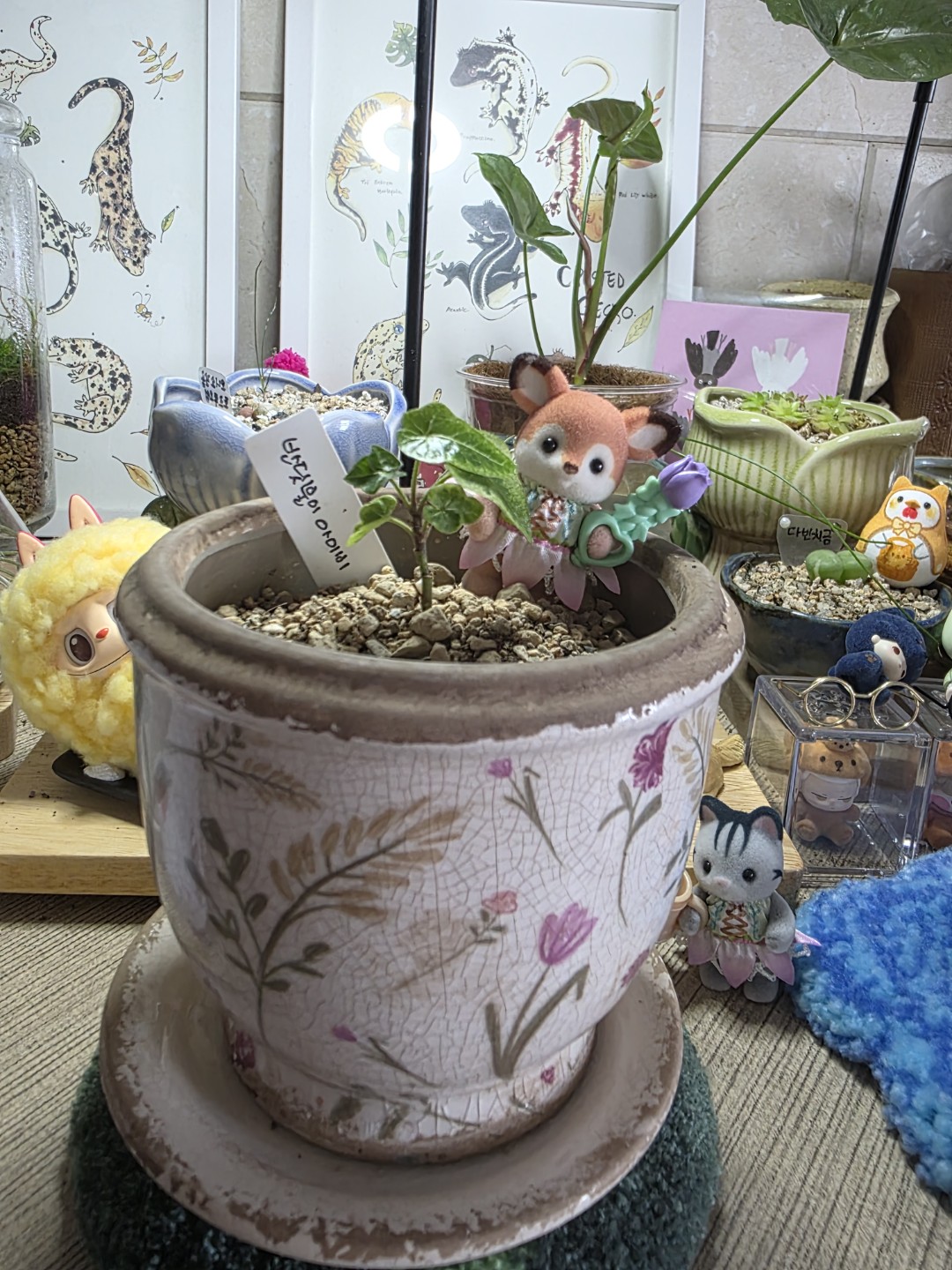 Post image 8