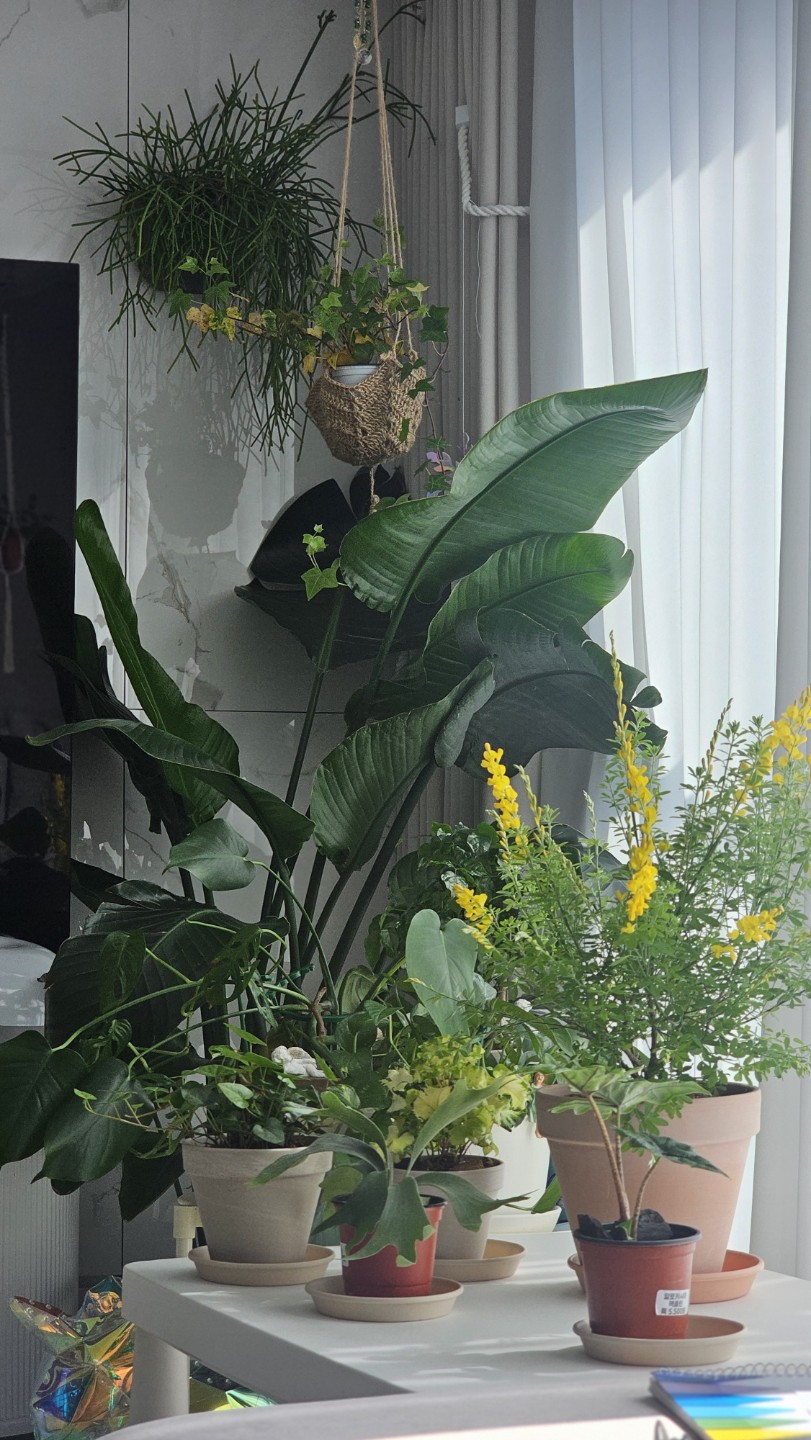 Post image 3