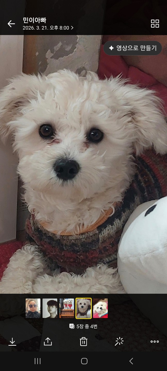 내새꾸셋이너무잘지냅이다