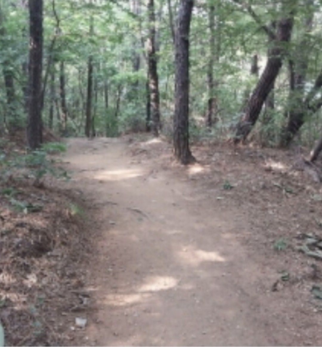 Post image 5