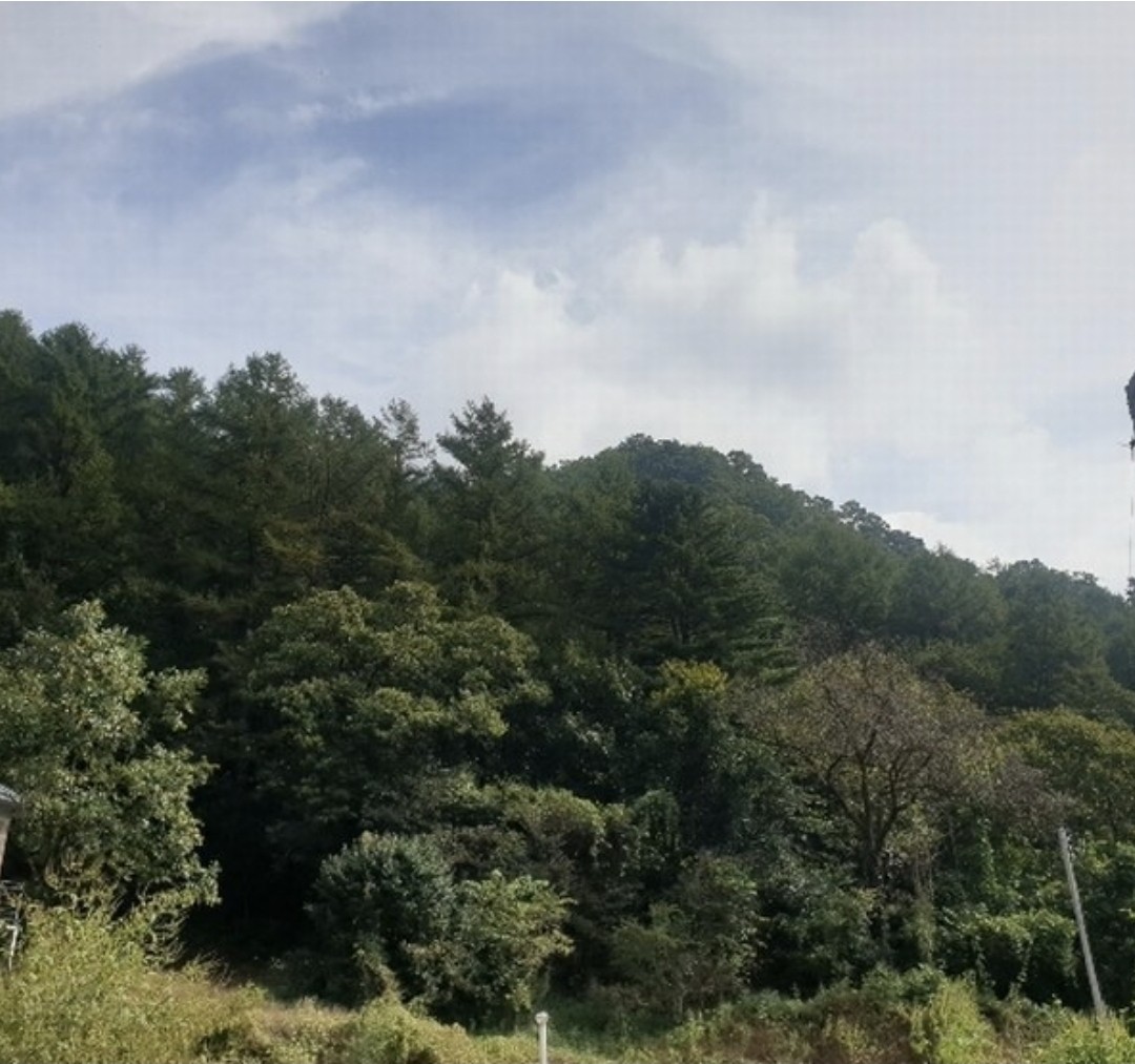 Post image 5