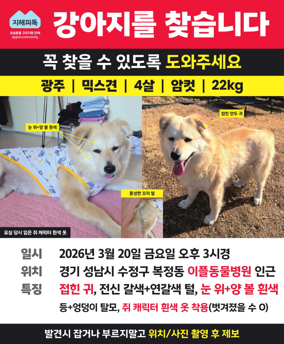 Post image 7