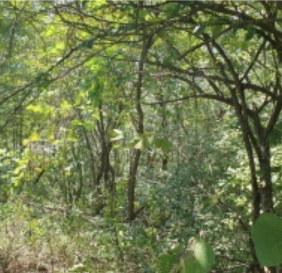 Post image 8
