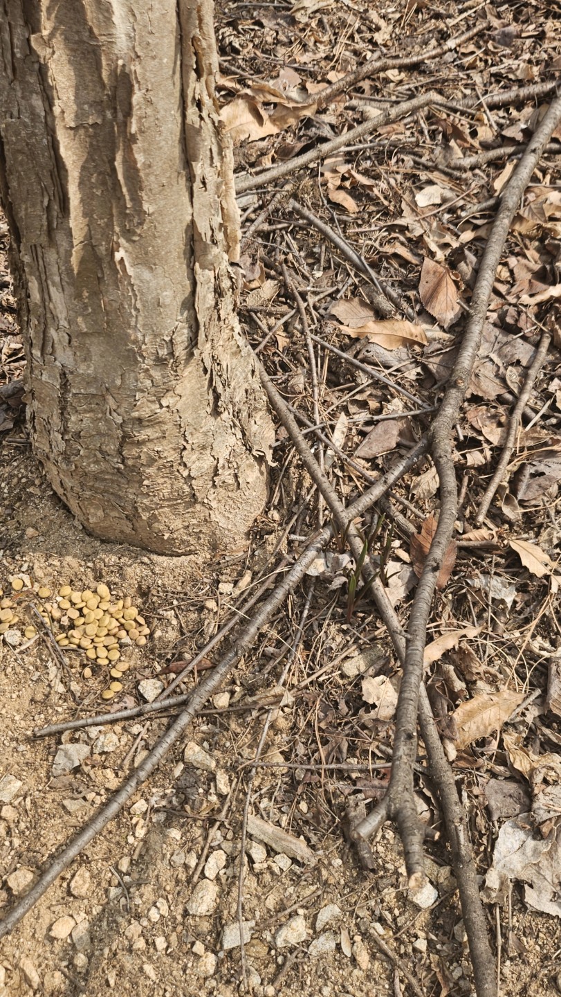 Post image 7