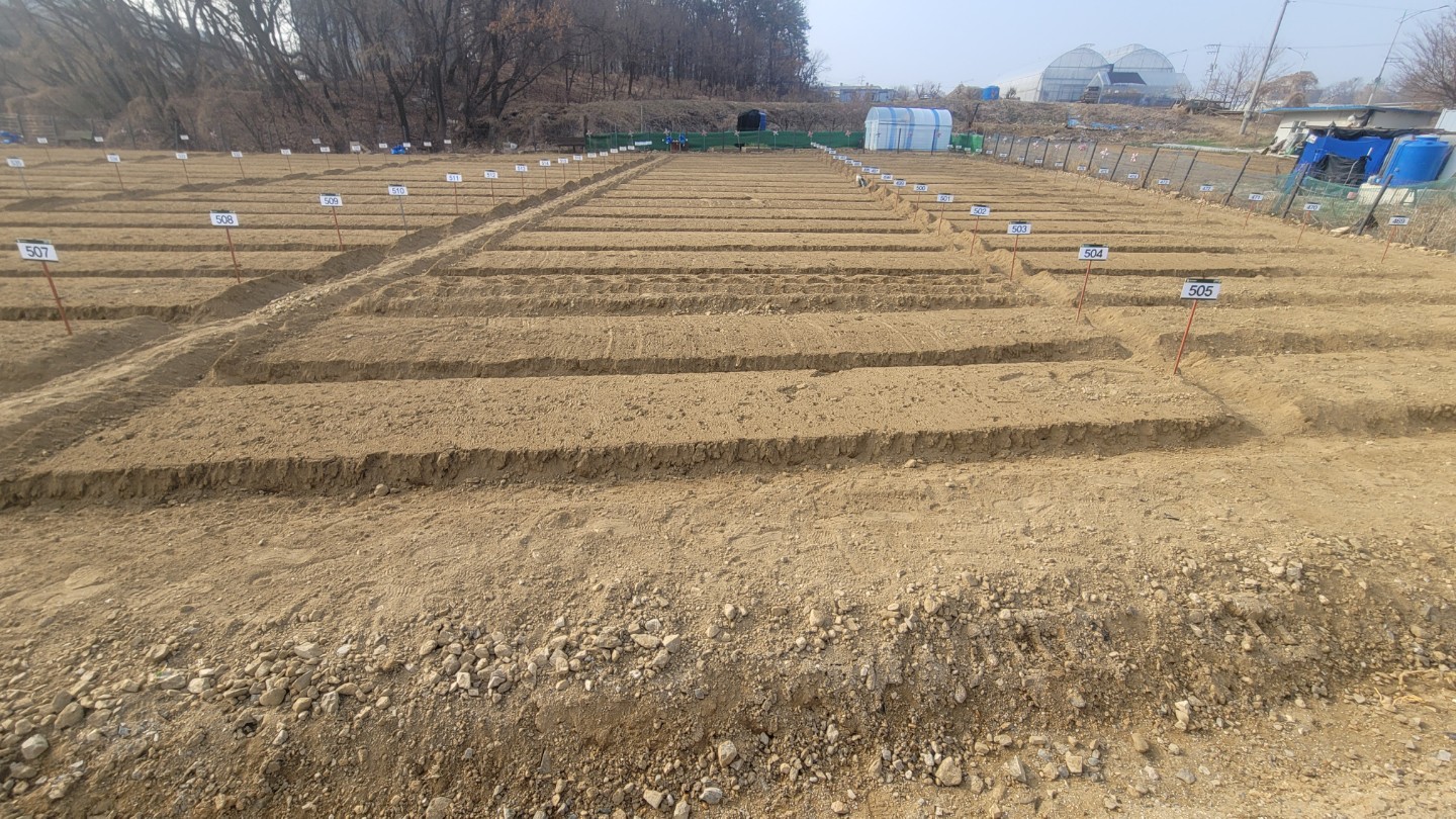Post image 10