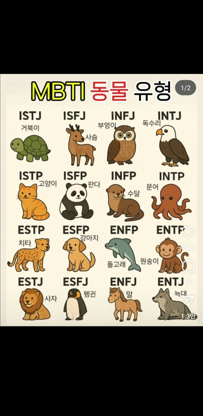 MBTI 동물유형