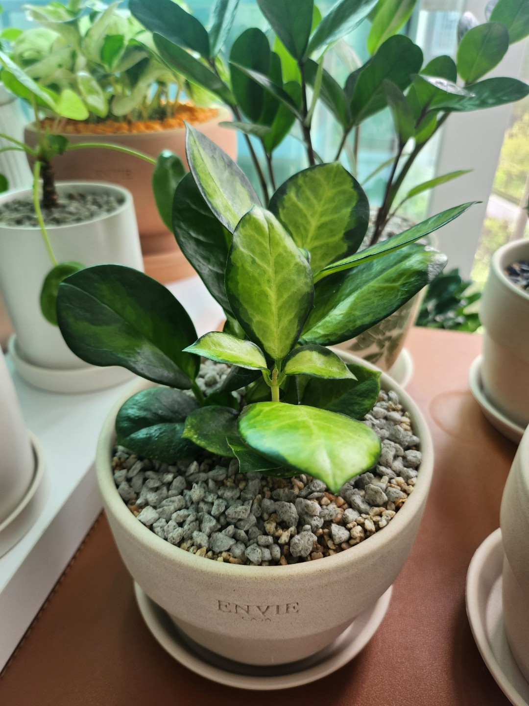 Post image 15