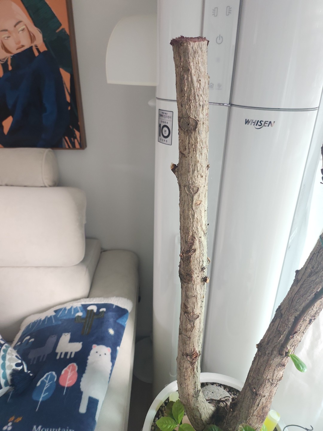 Post image 8