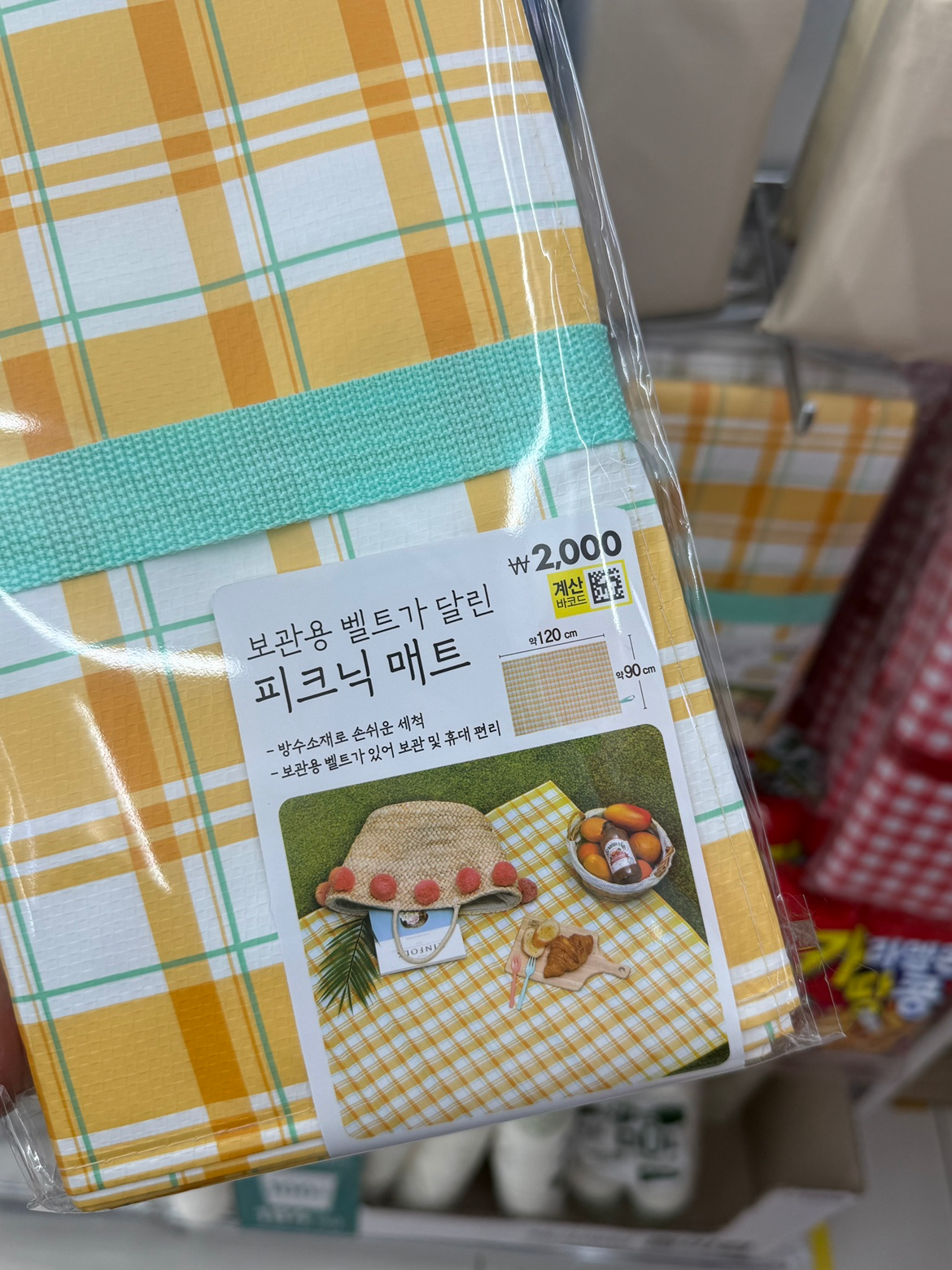 한강 데이트 필수템!