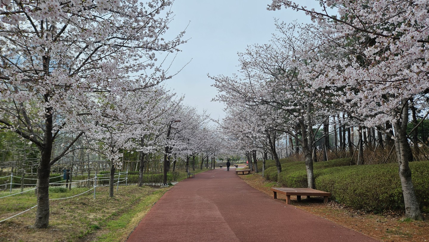 Post image 5