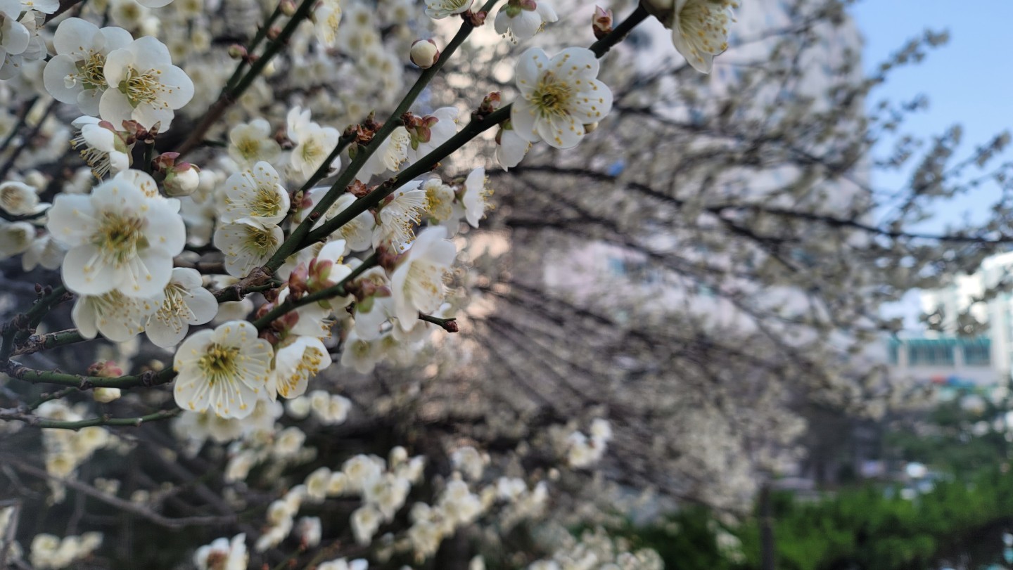 Post image 5