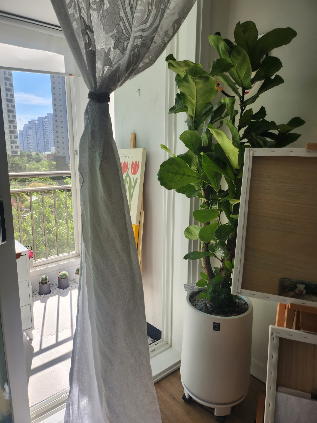 Post image 16