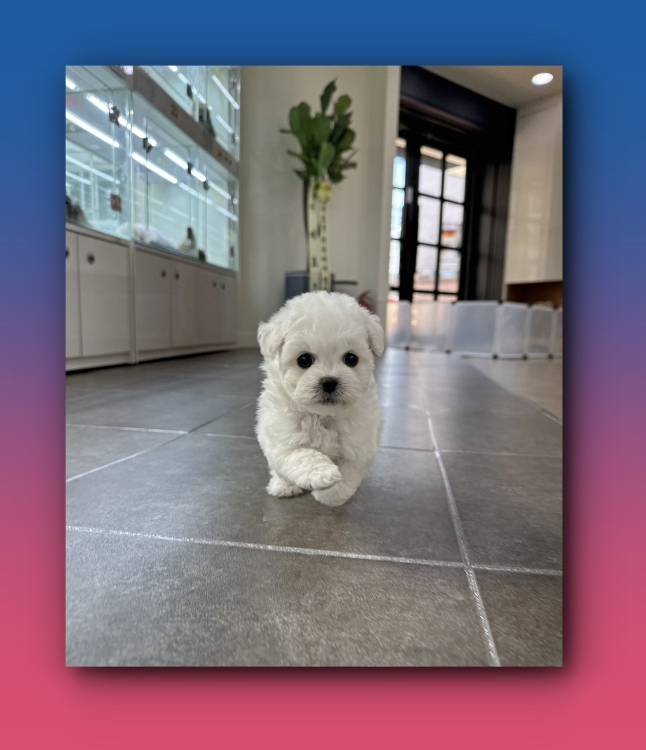 Post image 18