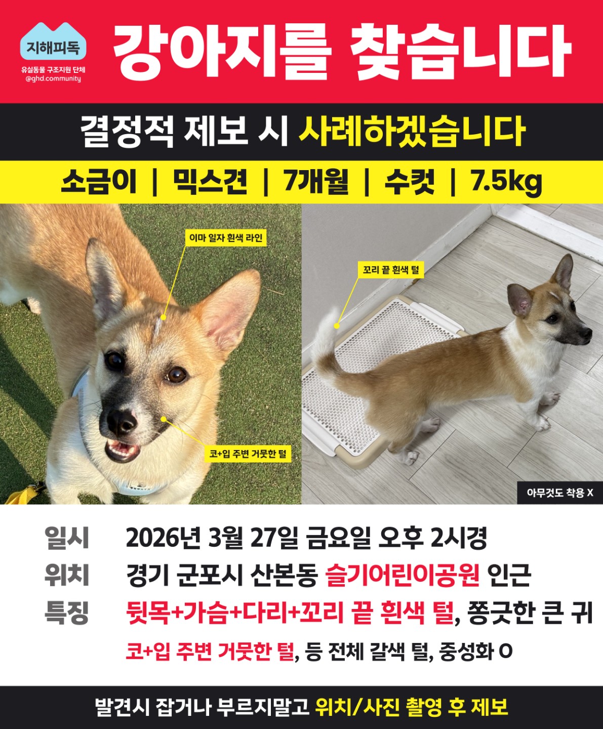 Post image 12