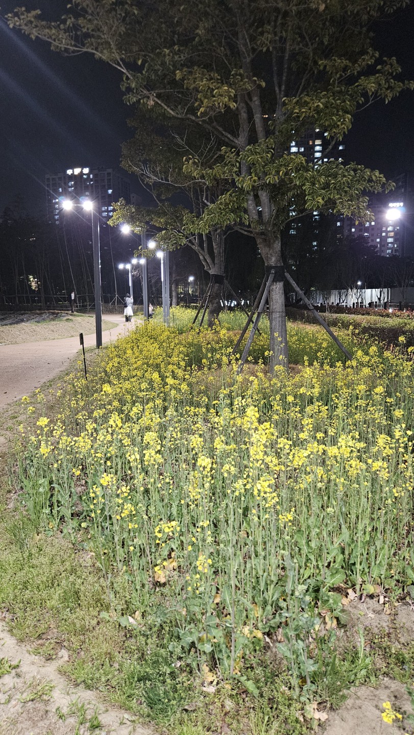Post image 6