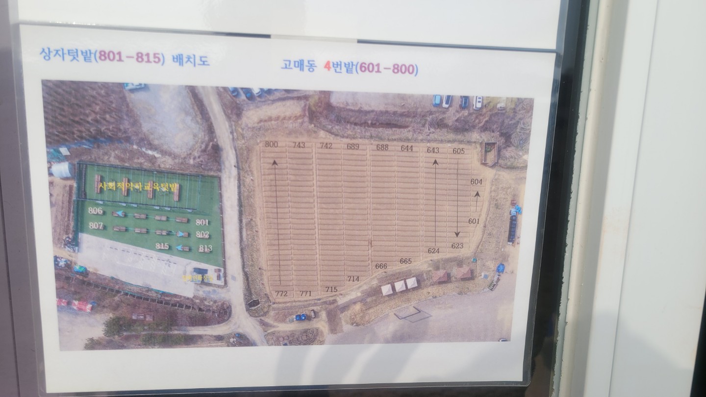 [초보 필독: 배정 후 첫 일주일 스케줄]