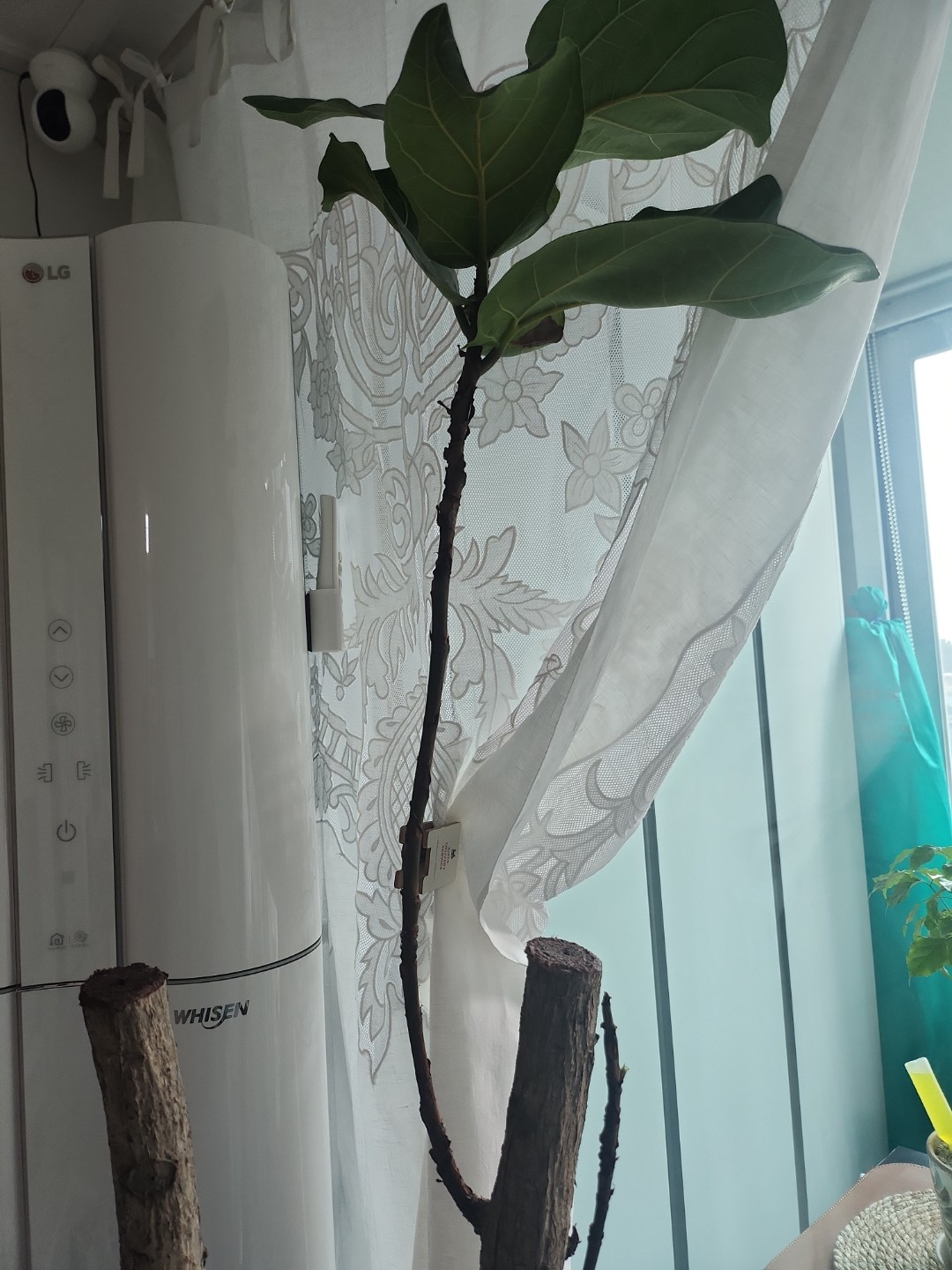 Post image 11