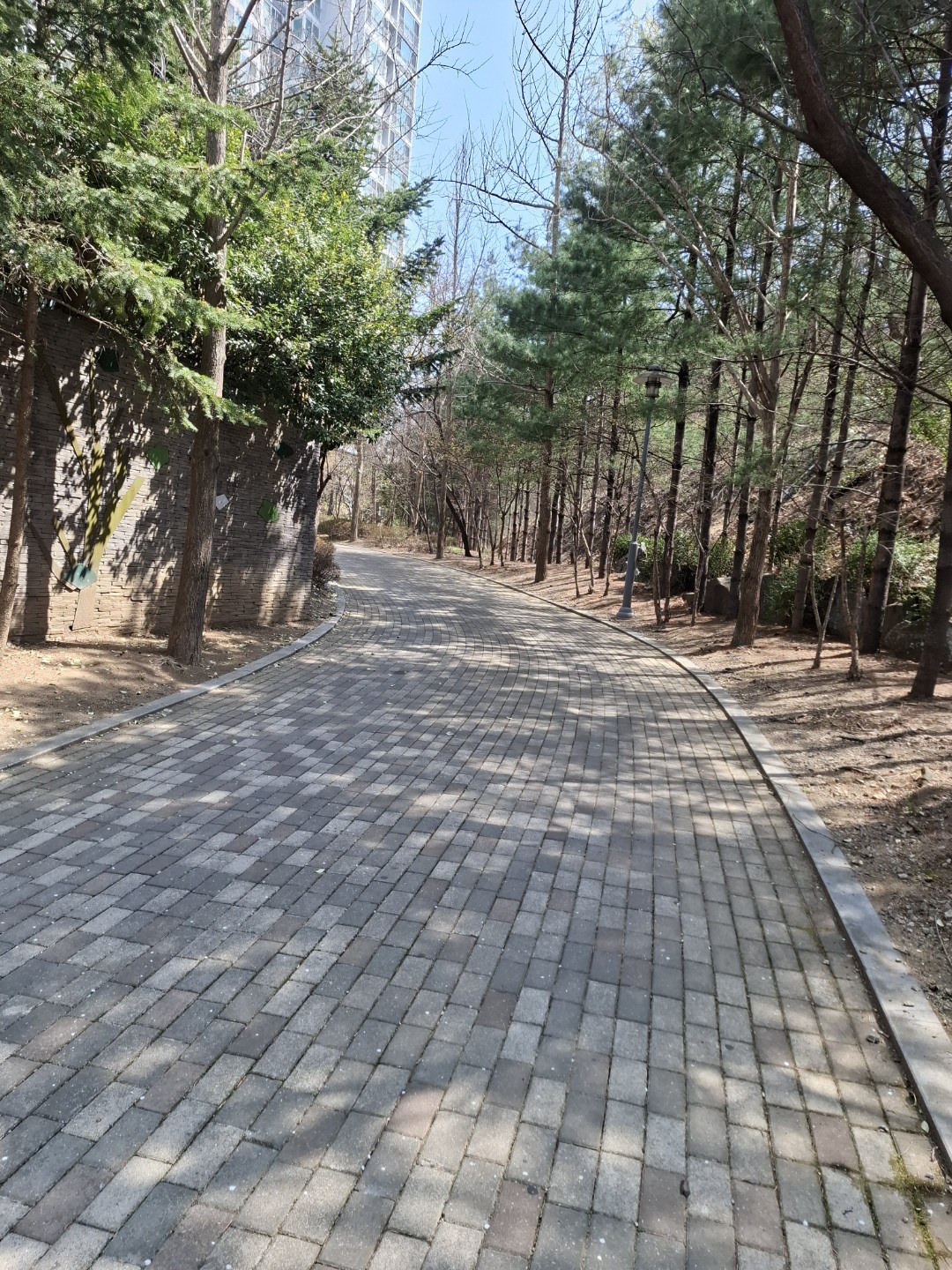 꽃과 산책 생존확인