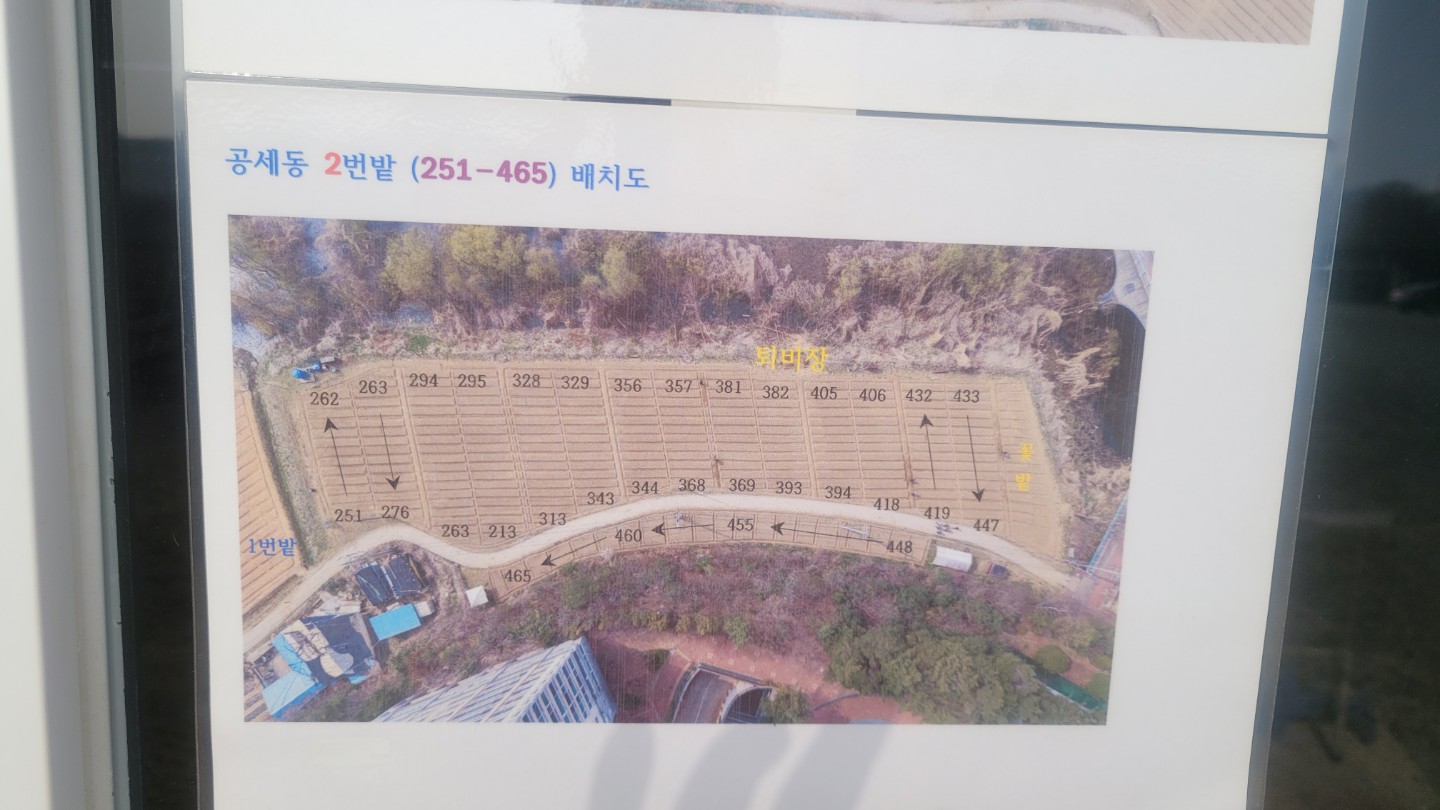 [초보 필독: 배정 후 첫 일주일 스케줄]