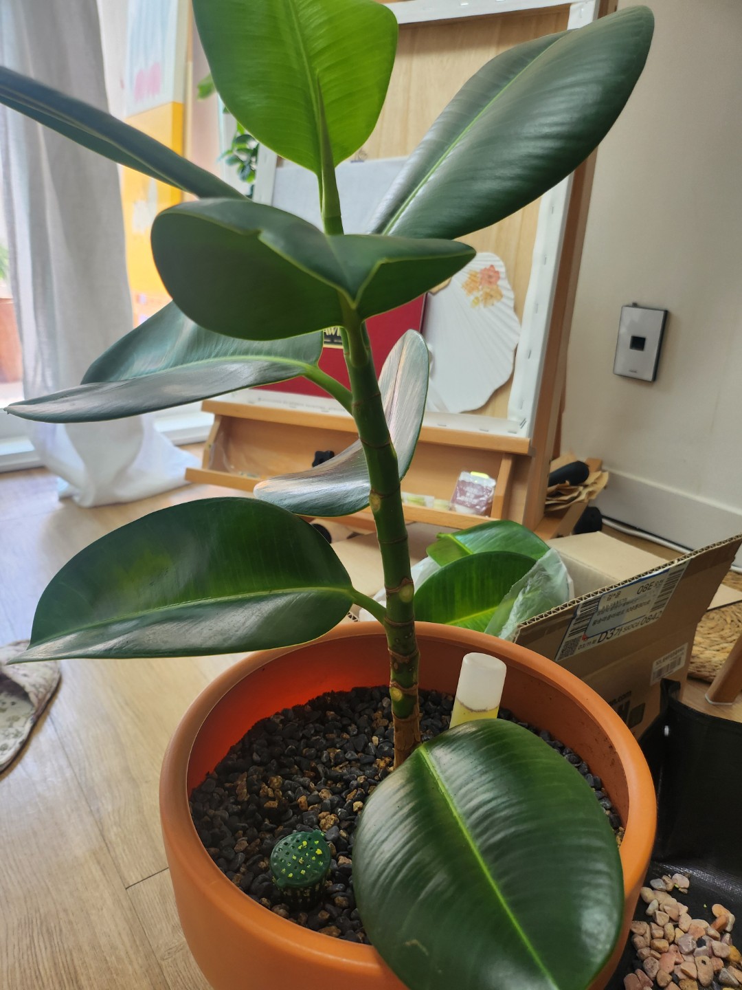 Post image 17