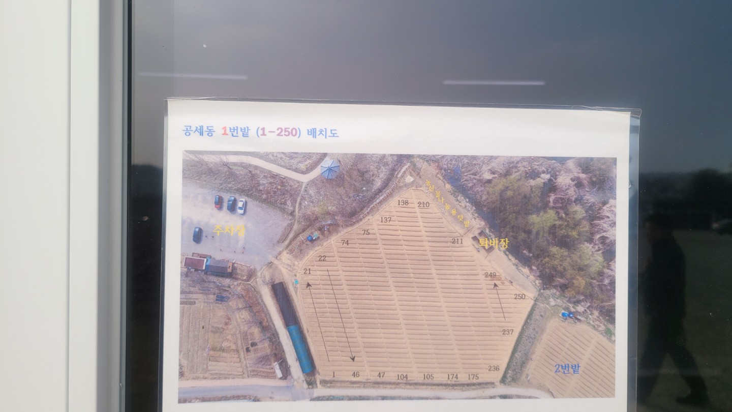 [초보 필독: 배정 후 첫 일주일 스케줄]