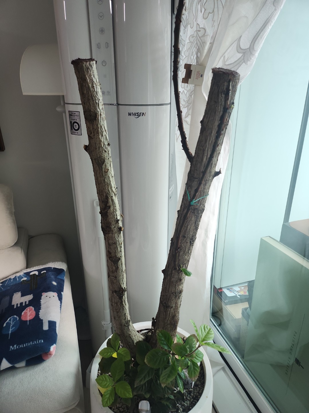 Post image 7