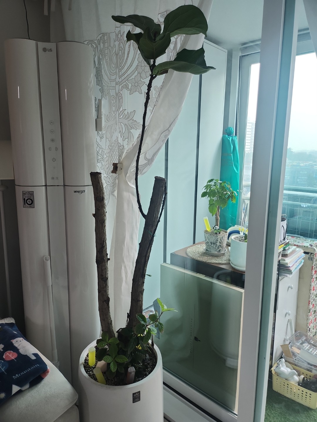 Post image 6