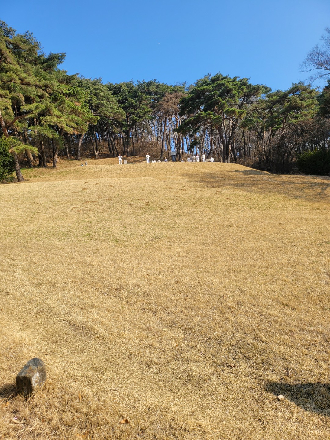 Post image 7