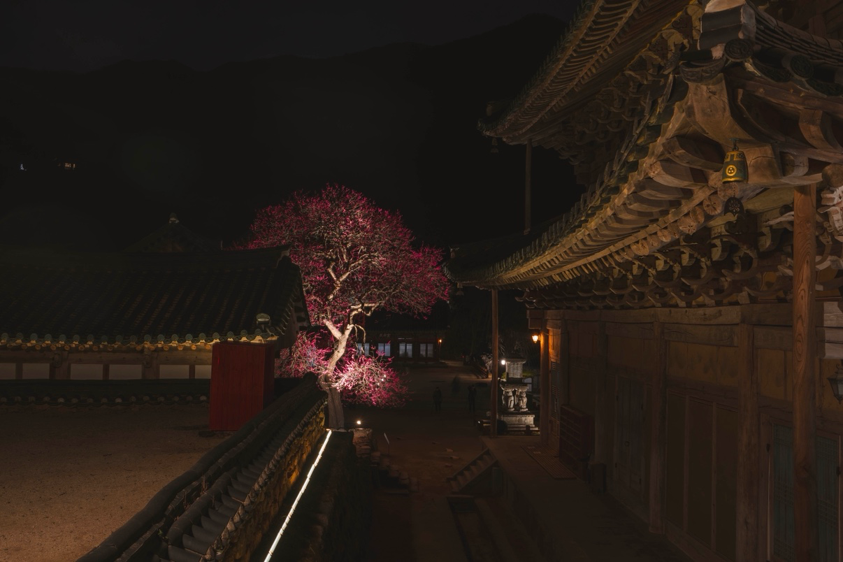 Post image 12