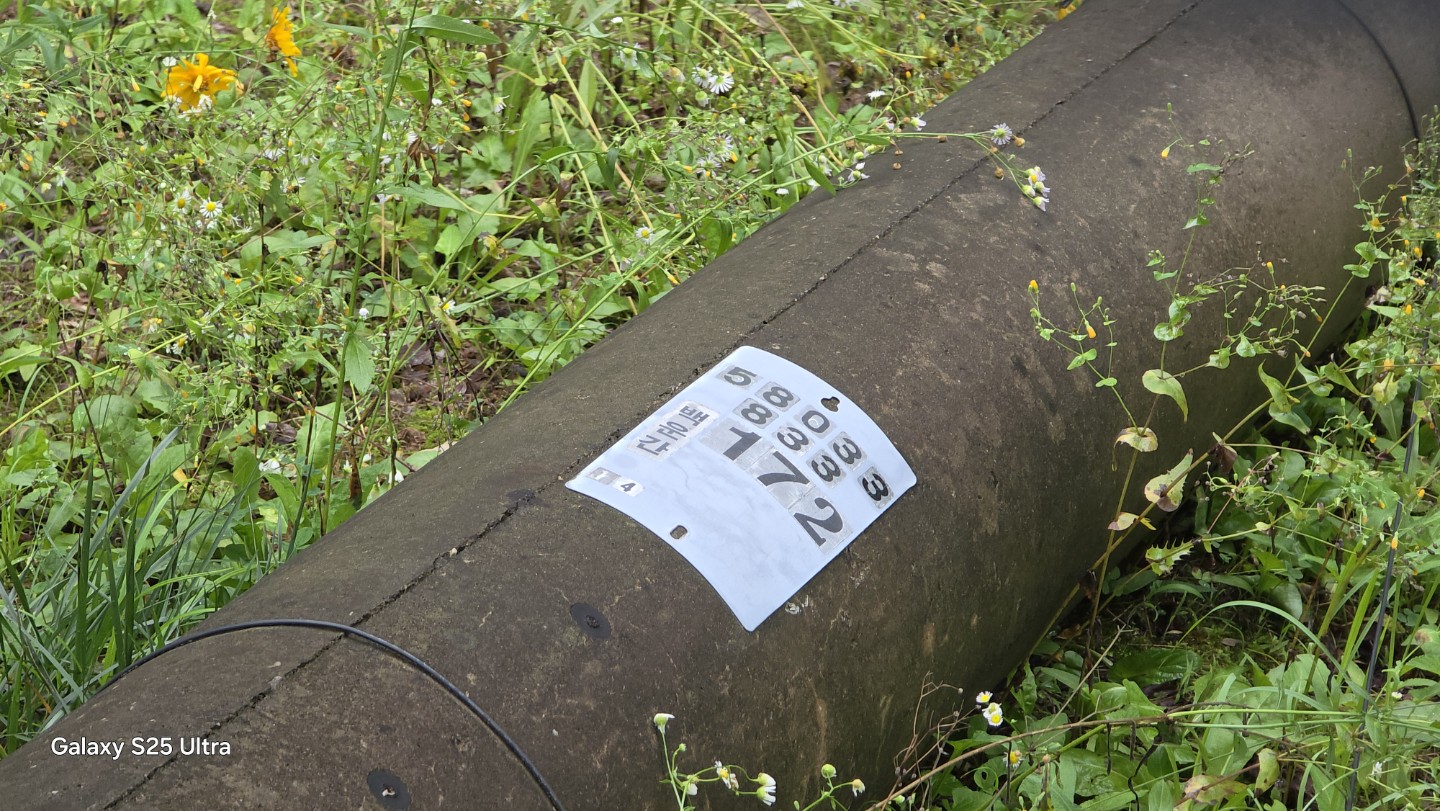 Post image 5