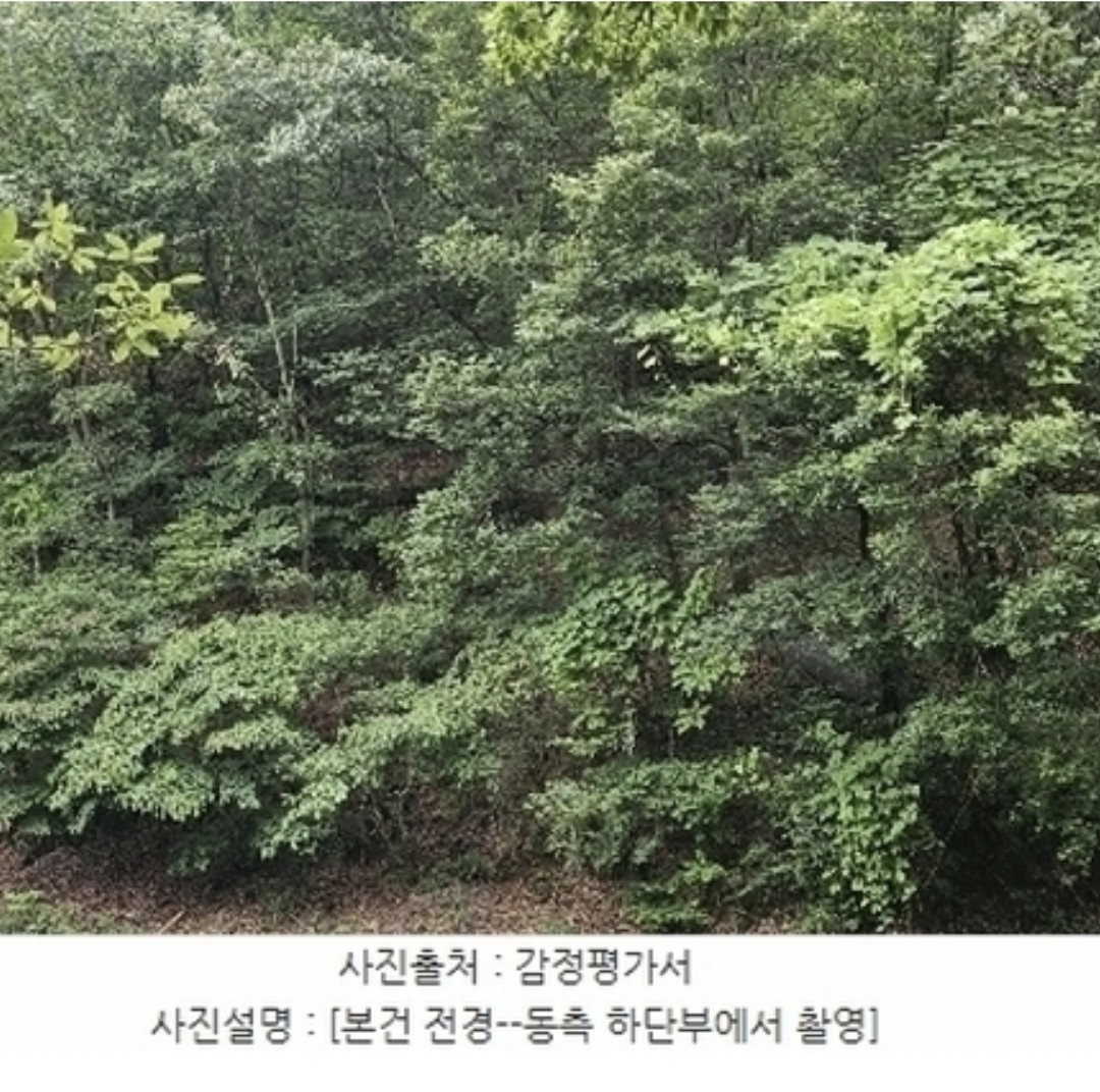 Post image 4