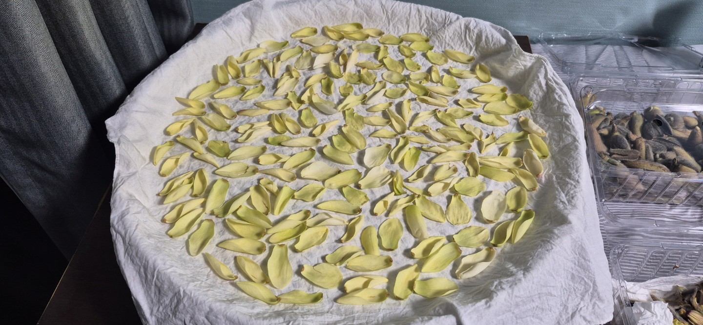 🍵 첫 만남, 꽃차 이야기