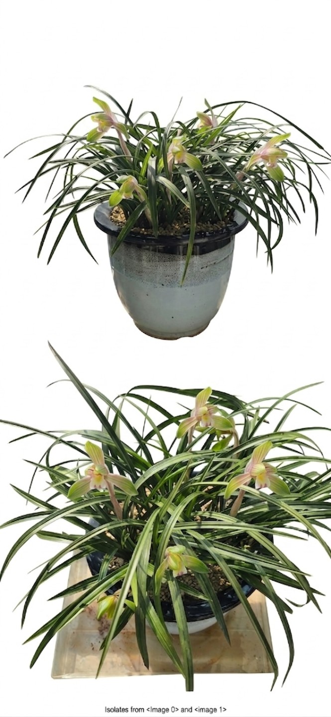 Post image 3
