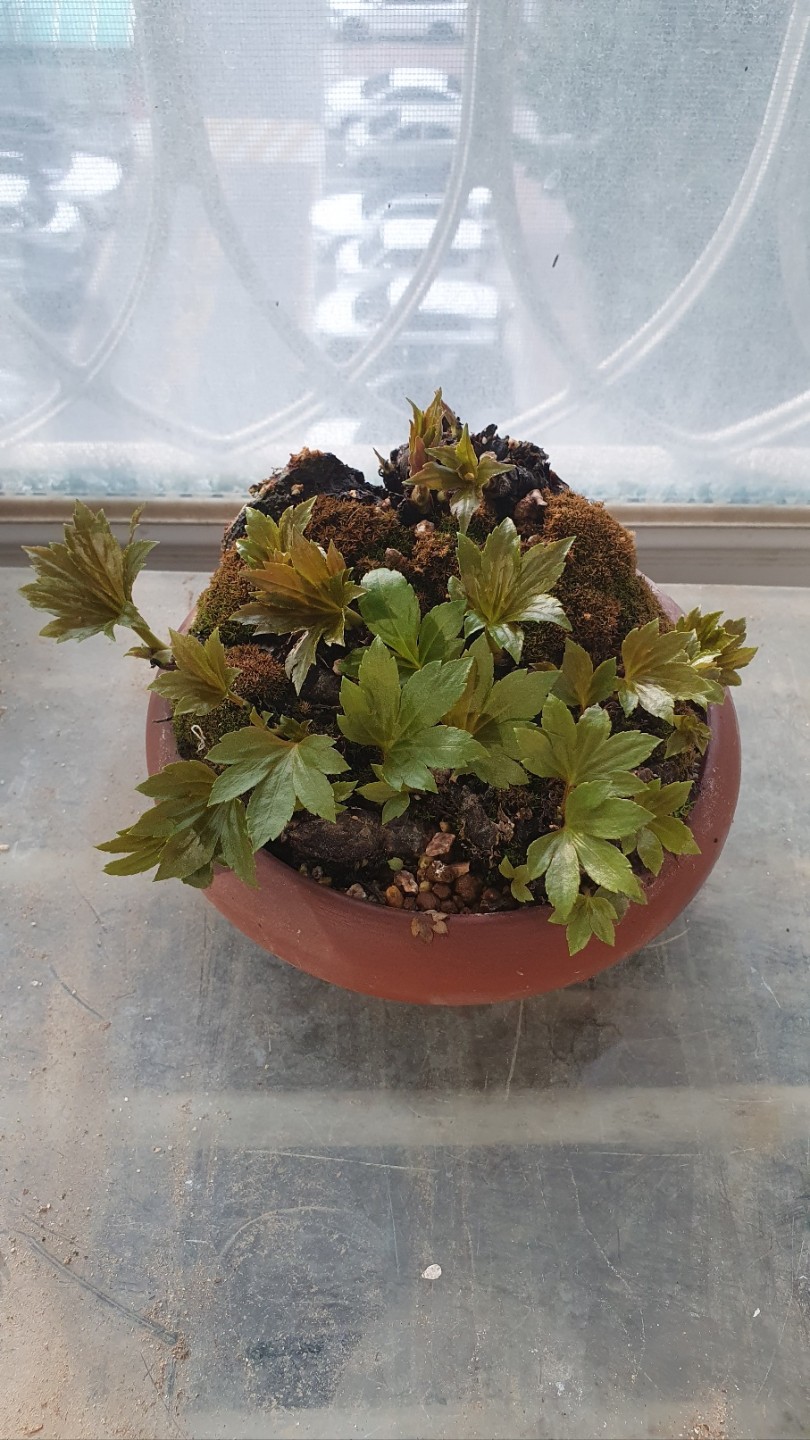 Post image 4