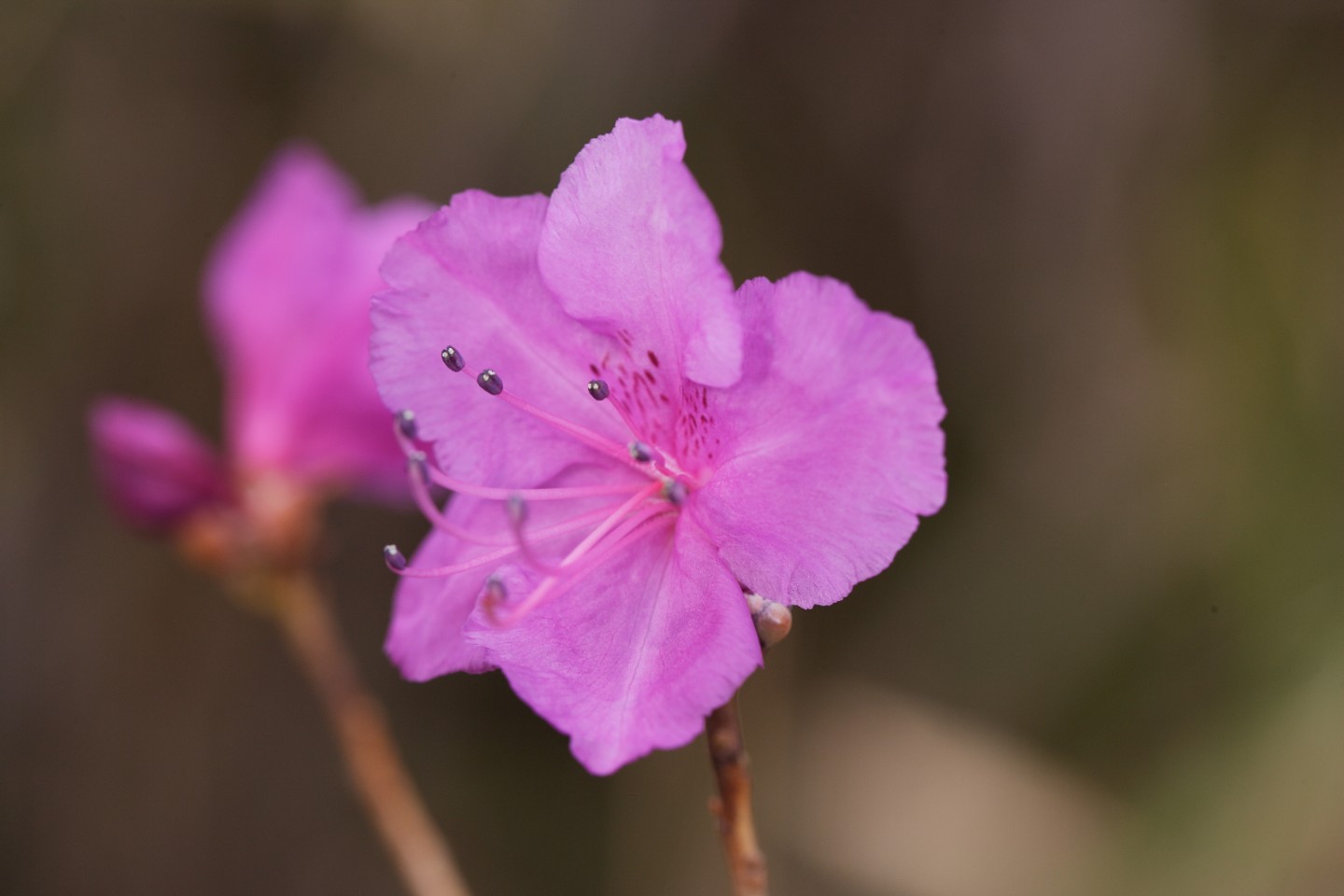 Post image 11