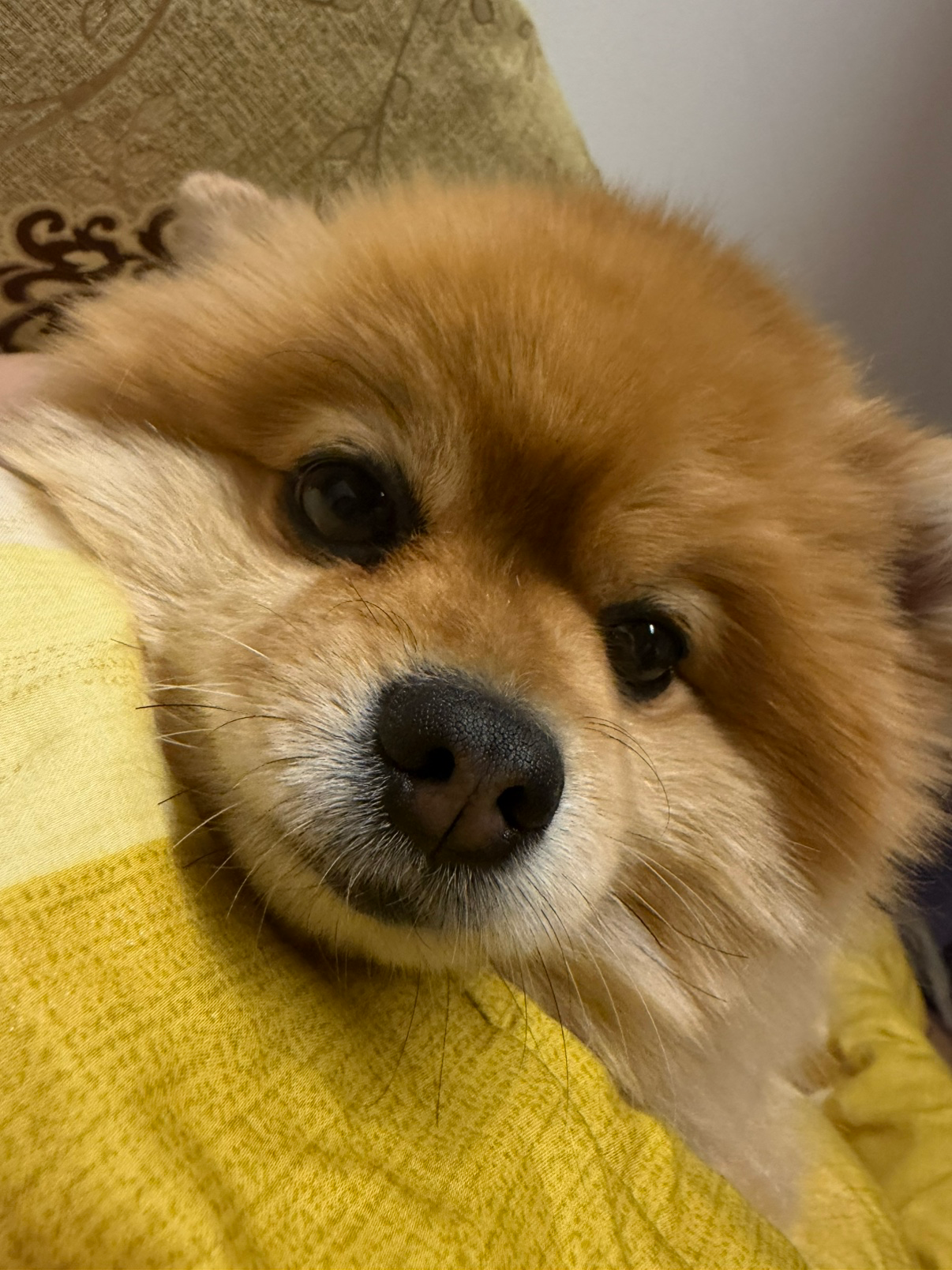 오늘은 갓생기상을 못했네요ㅠㅠ