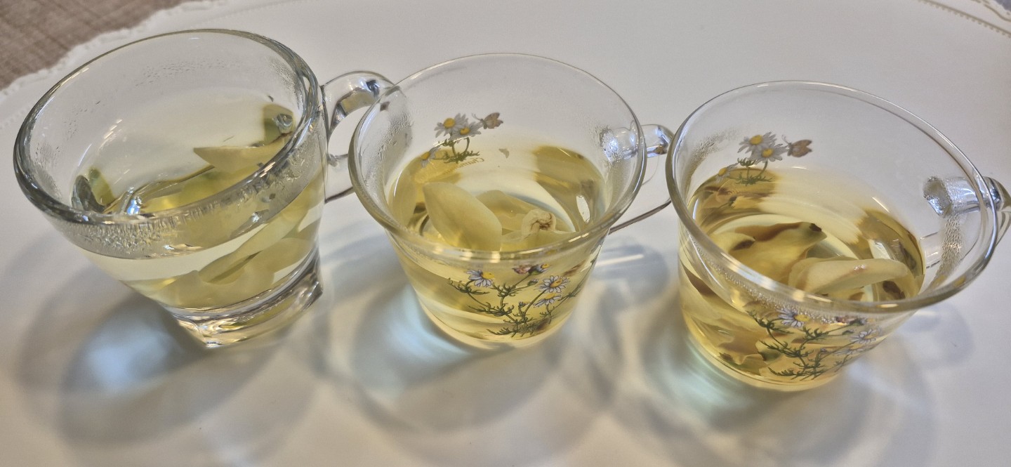 🍵 첫 만남, 꽃차 이야기