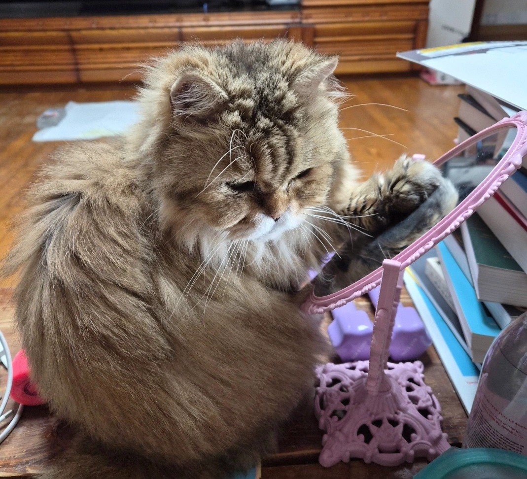 Post image 3