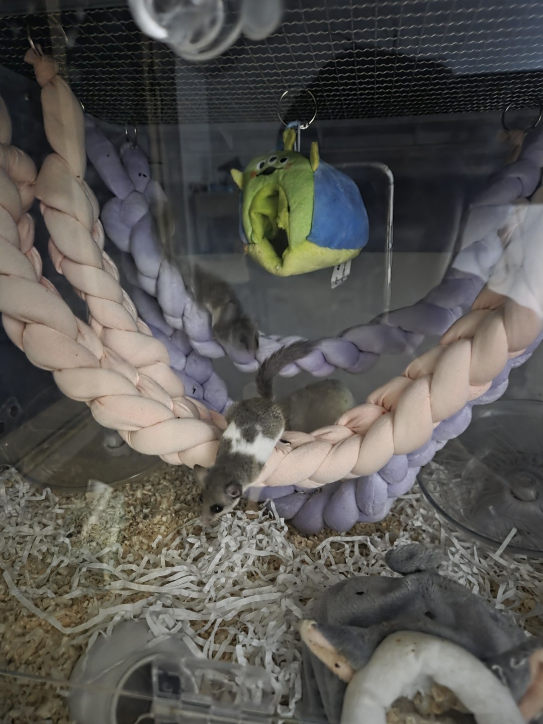 안녕하세요! 크림이랑 커피 집사입니다!