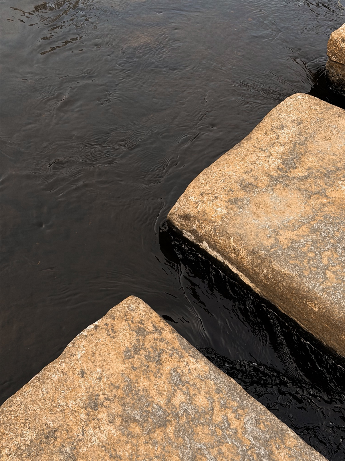 Post image 6