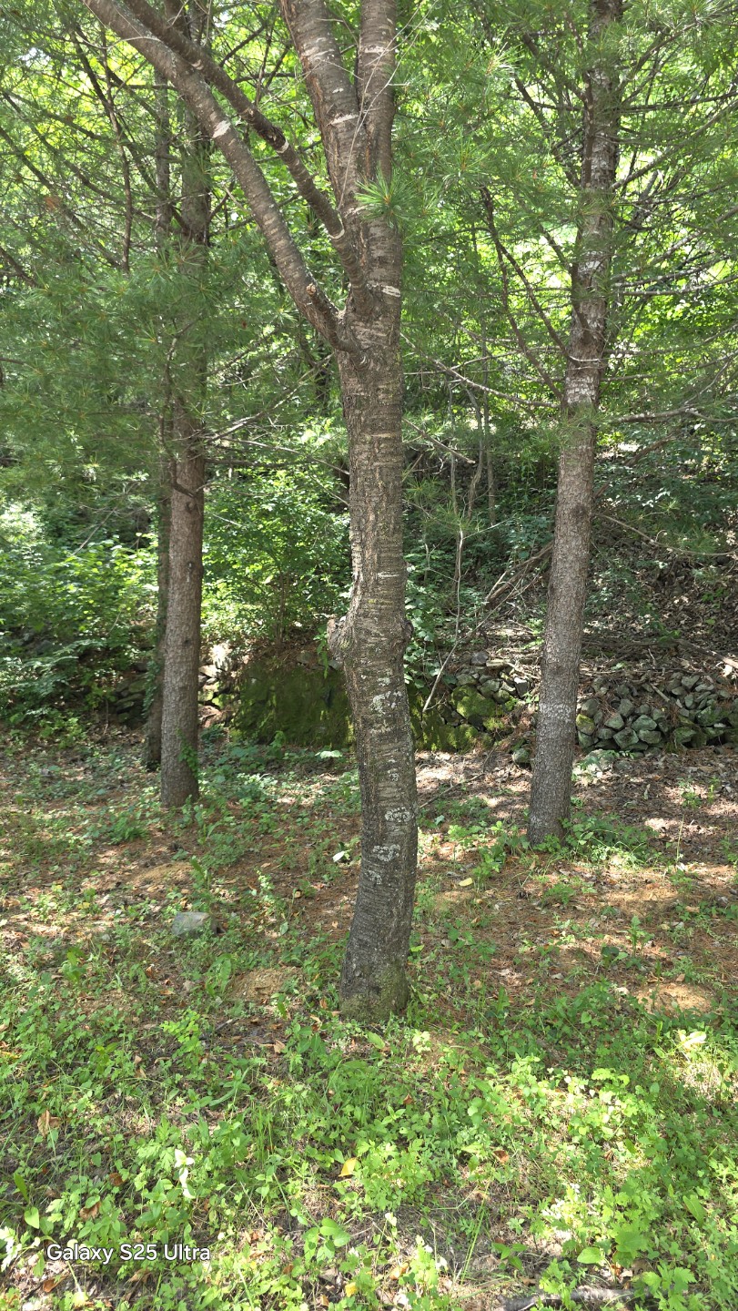 Post image 20