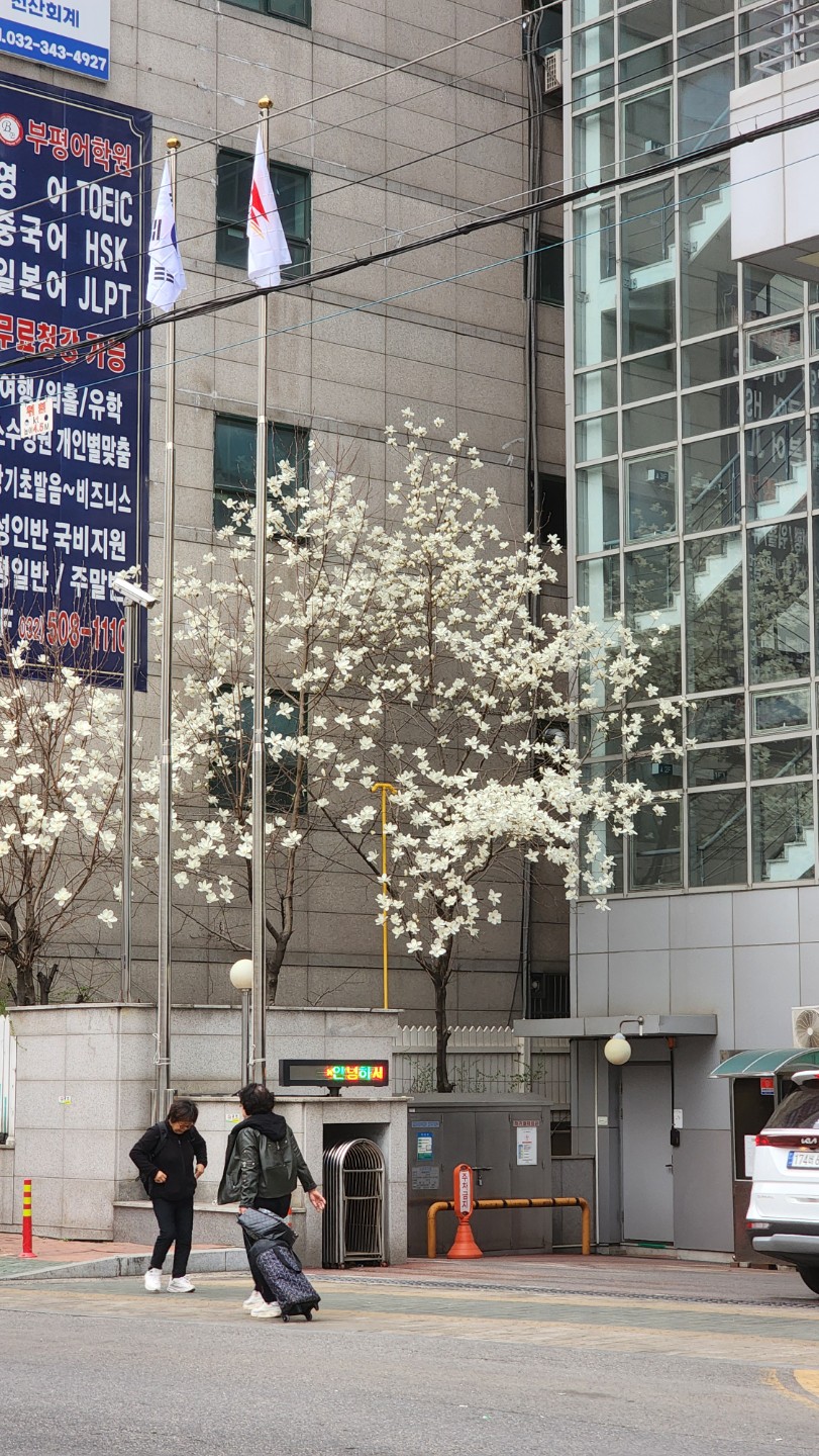 봄과함께 꾸리한 날씨~~ㅋㅋ