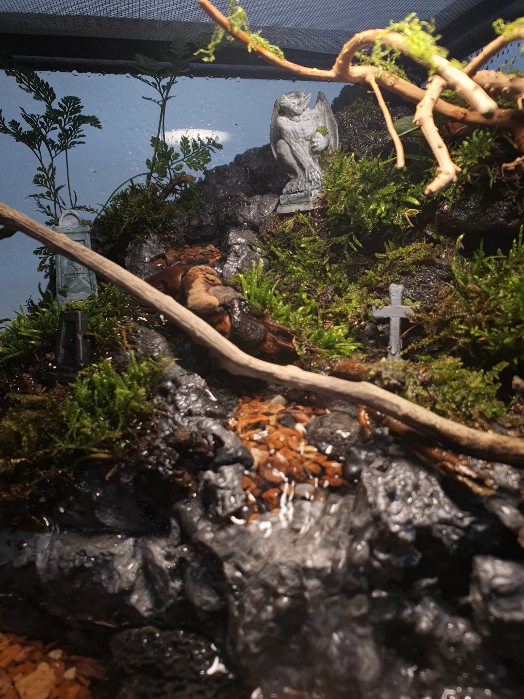 엑소테라 303030 데스밸리 크랩 팔루다리움 제작 과정 2