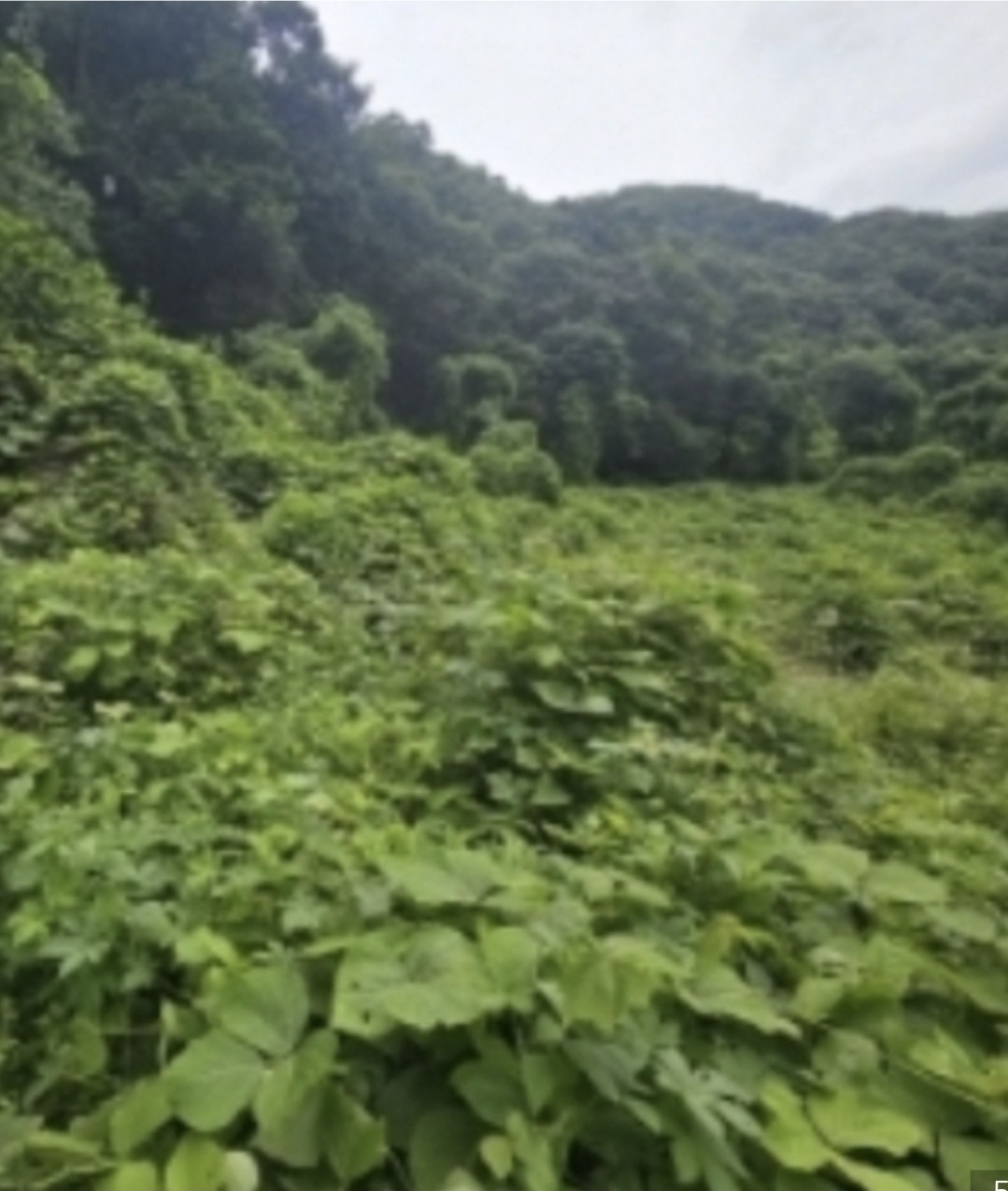 Post image 6