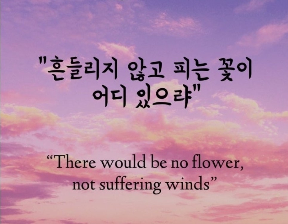 Post image 28
