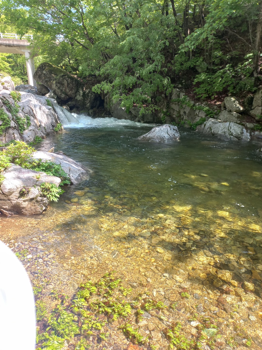 Post image 6