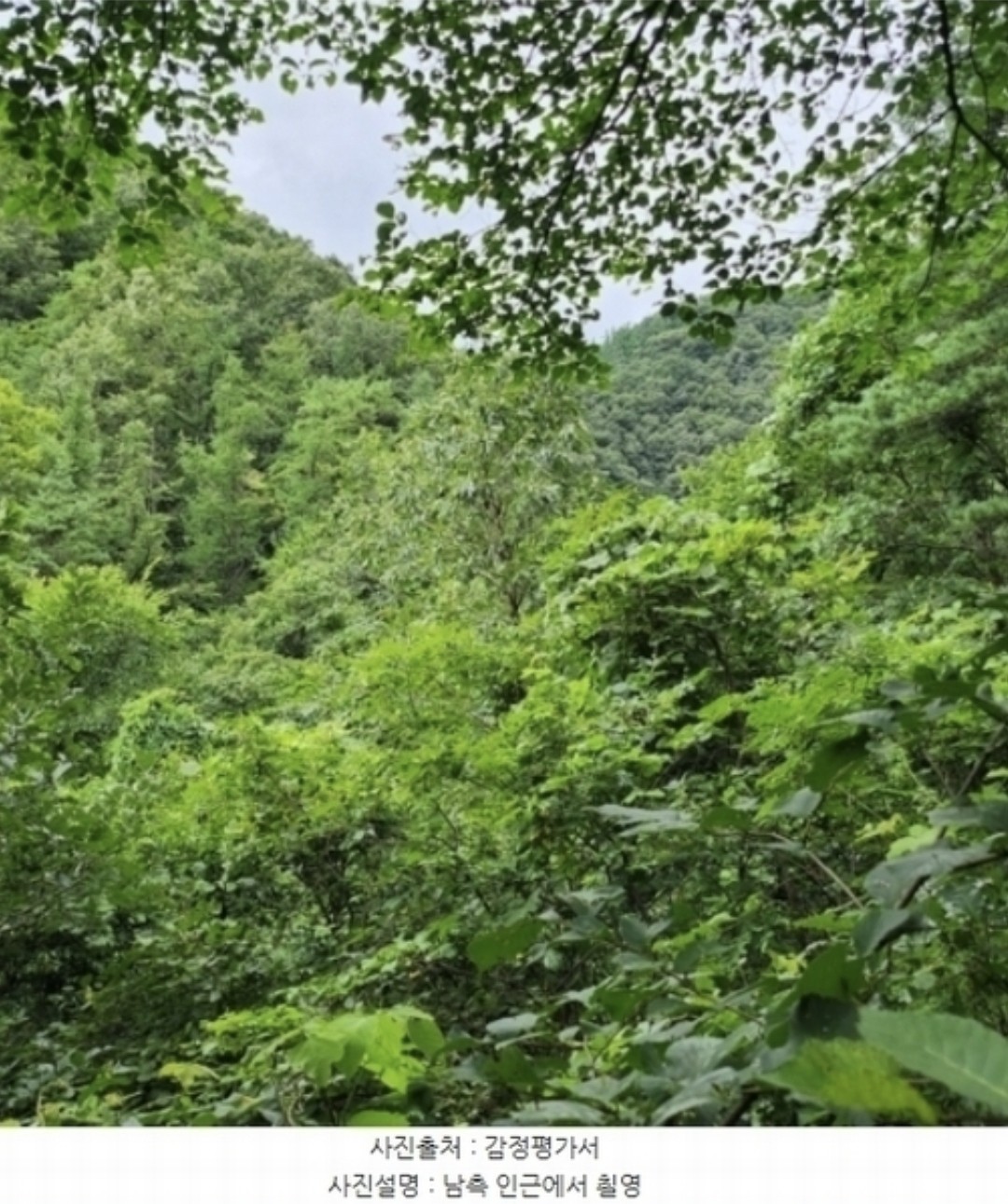 Post image 4