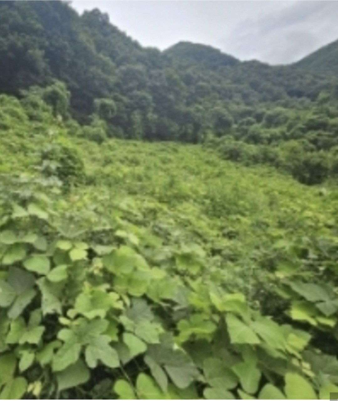 Post image 7