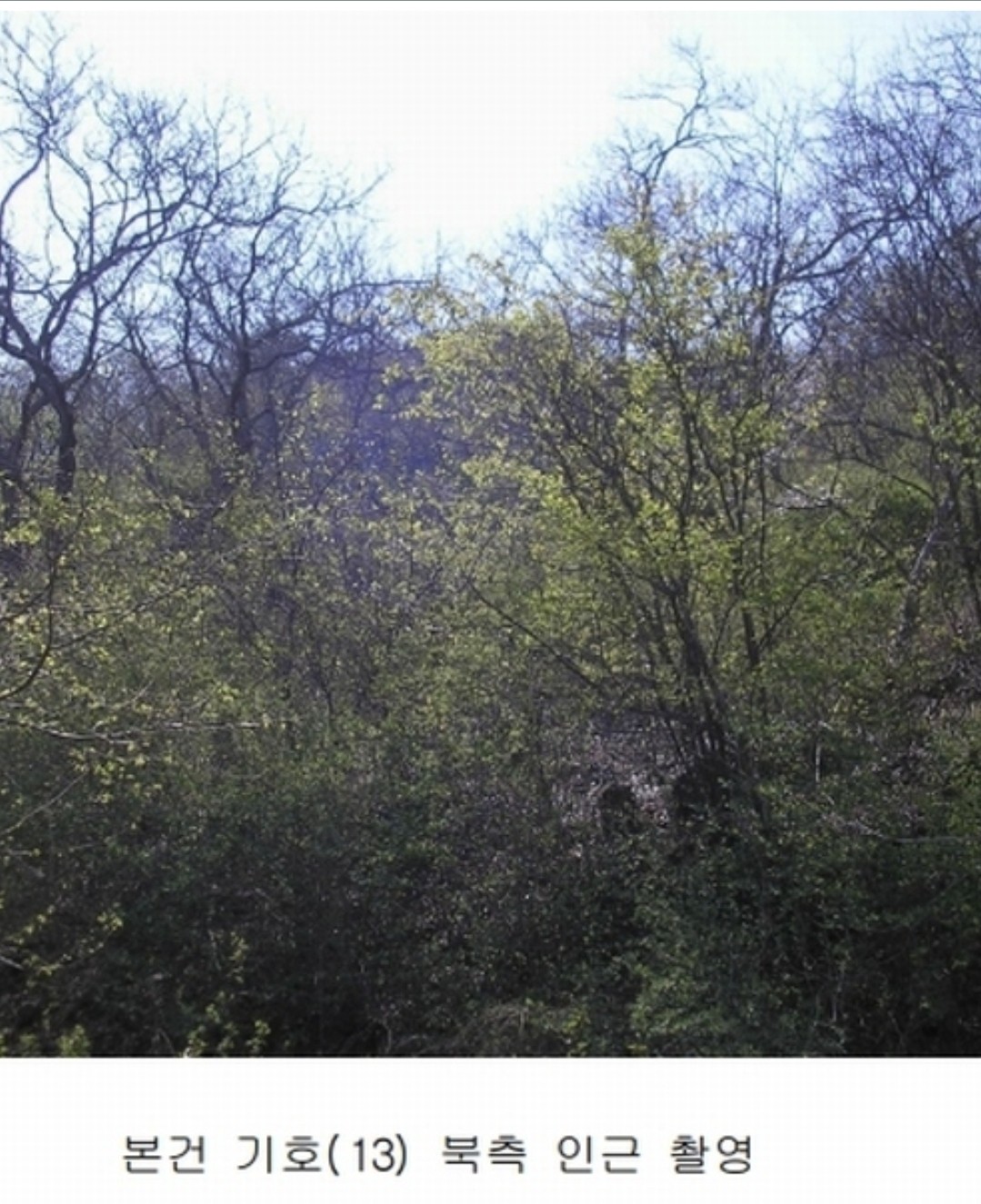 Post image 7